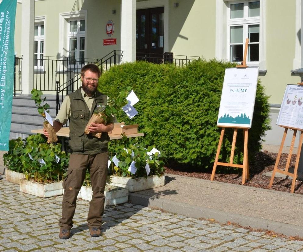 Akcja sadziMY w Nadleśnictwie Elbląg