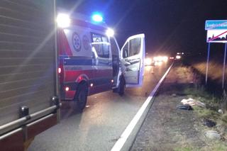 Śmiertelne potrącenie pieszego koło Santoka