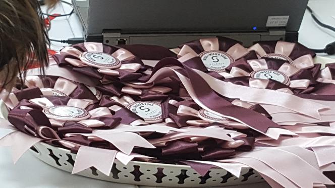 Miss i mister yorków w SCC