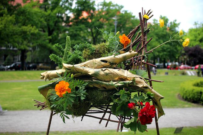 Wystawa Florystyczna na Wałach Chrobrego