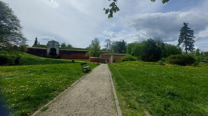Zamość