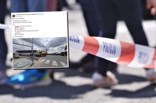 Kobieta zginęła pod kołami autobusu! Tragedia pod Poznaniem 