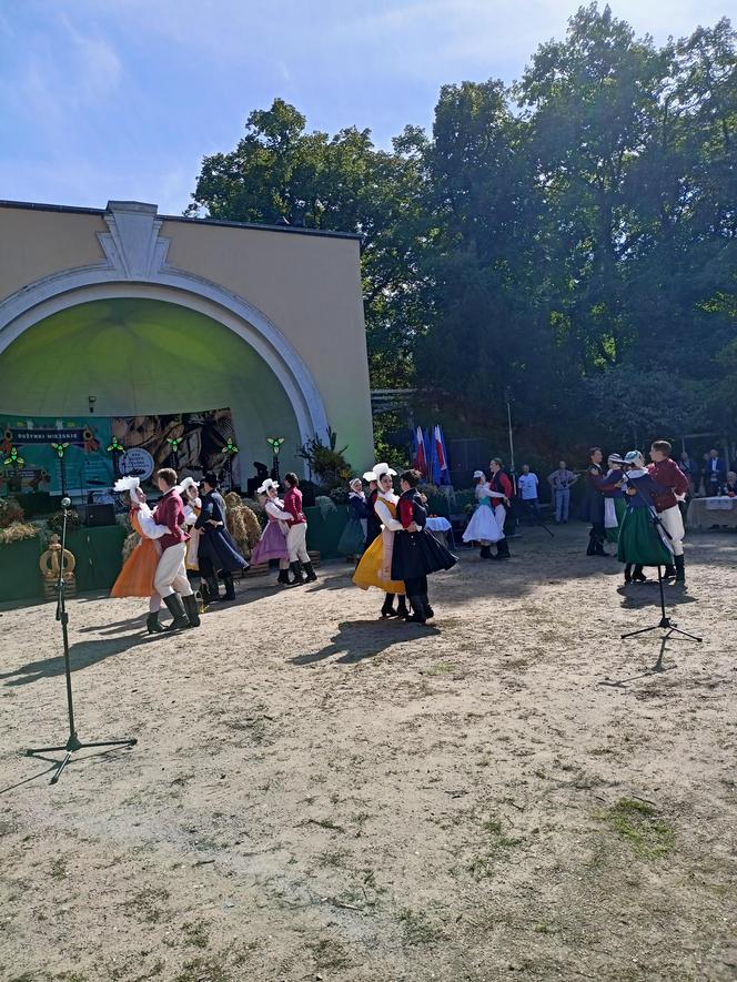 Dożynki Miejskie i Święto Chleba Poznań 2023