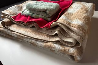 Masz stare koce i ręczniki? Oddaj do schroniska dla psów w Nowym Sączu