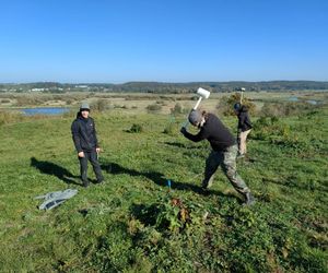 Archeolodzy prowadzą wykopaliska na Górze Królowej Bony pod Łomżą