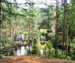 Kolorowe jeziorka w Bibieli na Pasiekach to atrakcja województwa śląskiego