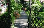 Pergola w ogrodzie