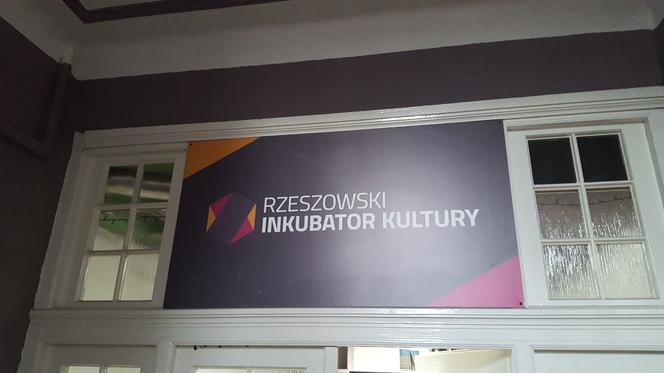 Rzeszowski Inkubator Kultury zachęca do adopcji! Chodzi o... rośliny!