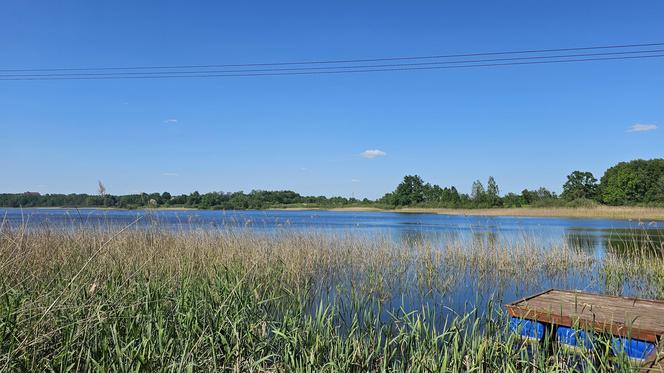 Było, zniknęło i... powróciło. Zobacz magiczne jezioro Track na obrzeżach Olsztyna [ZDJĘCIA]