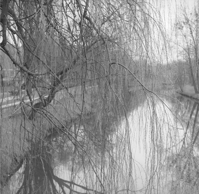 Rzeka Młynówka. Data wydarzenia, 1972-03-26 