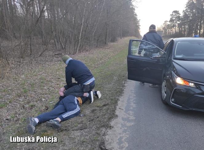 Świebodzin. Zajechali mu drogę, a on ruszył na nich z bagnetem! Miał kilka kilogramów narkotyków [WIDEO, ZDJĘCIA]