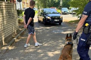 Myślał, że przechytrzy policję. 18-latek z Lubina po kolizji ukrył się w śmietniku, ale wytropił go pies Rampa