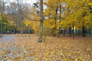Park 1000-lecia w Lesznie na chwilę przed zachodem słońca