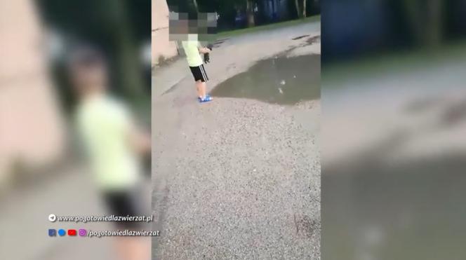 Dramat szczeniaka pod Płockiem
