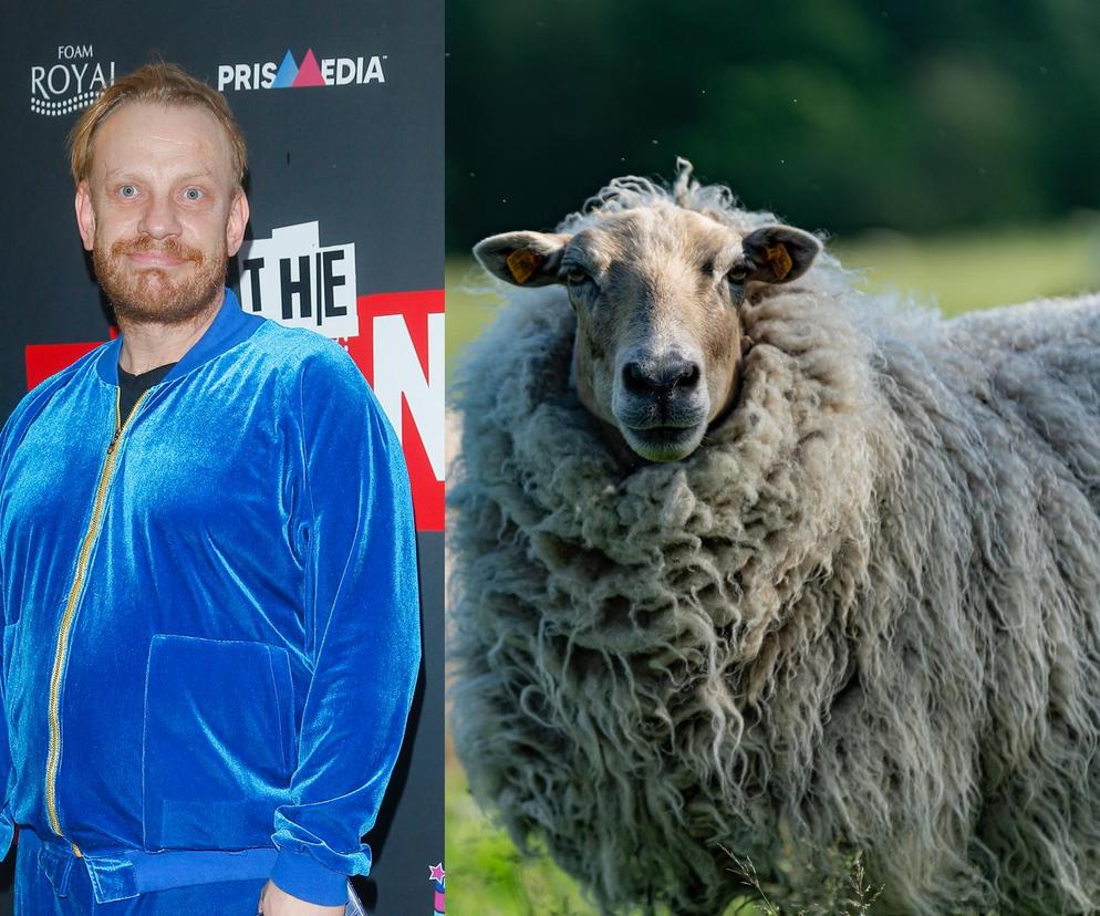 Bartosz Żukowski ukradł owce?