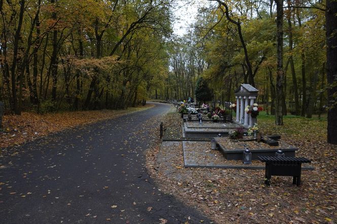 Cmentarz na Miłostowie na kilka dni przed dniem Wszystkich Świętych 