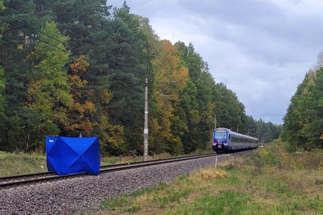 Pociąg śmiertelnie potrącił mężczyznę. Ruch pociągów w Olsztynie wstrzymany