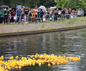 Ster na Bydgoszcz 2023. V Charytatywny Wyścig Kaczek Rotary [ZDJĘCIA]