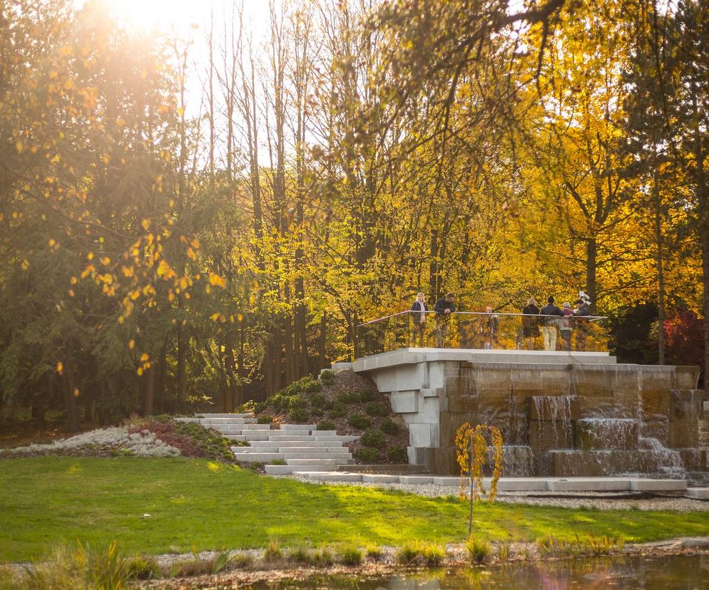 Park Śląski jesienią jest naprawdę piękny