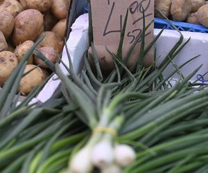  Ceny nowalijek na warszawskich bazarach szokują. Byliśmy i sprawdziliśmy ile trzeba zapłacić