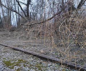 Opuszczona linia tramwajowa do Walcowni