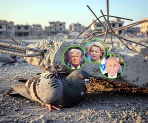 Kwestia palestyńska dzieli UE. Trump obiecuje pokój, a Netanjahu dalszą ofensywę