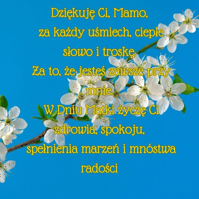 Dzień Matki