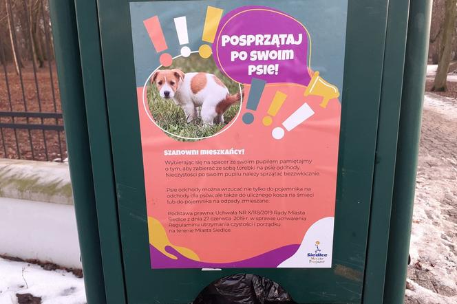 Na Psich Pakietach urzędnicy magistratu rozwiesili plakaty, przypominające o konieczności sprzątania po zwierzakach