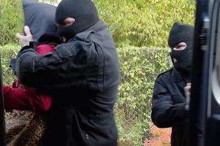 M jak miłość odc. 1784. Kama (Michalina Sosna)