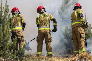 Ćwiczenia Fire Forest 2025 na poligonie w okolicach Międzyrzecza