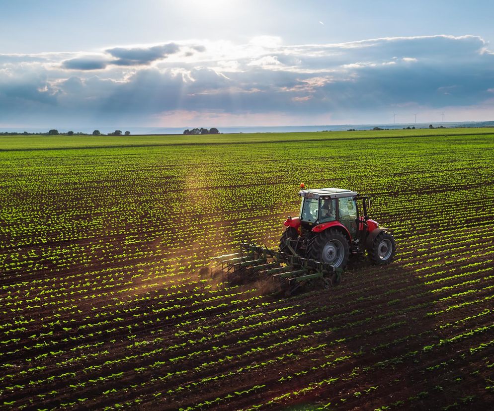 Czerwony traktor z zielonym agregatem uprawowym na rozległym polu świeżo posadzonych, młodych roślin, podkreślający temat dopłat dla rolników na Super Biznes. Nad polem rozciąga się zachmurzone niebo, przez które przebijają się promienie słońca, oświetlające w oddali turbiny wiatrowe.