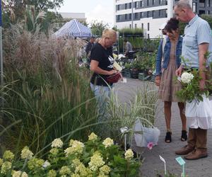 Jesienny Kiermasz Ogrodniczy 2023. Tłumy przy bydgoskim Torbydzie [ZDJĘCIA]