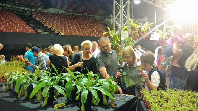 Krwiożercze rośliny opanowały katowicki Spodek! Trwa Festiwal Roślin Owadożernych [ZDJĘCIA, AUDIO]