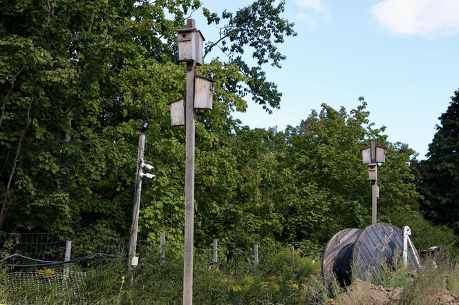 Byliśmy na placu budowy STP Karolin. Tu powstaje wielka sypialnia dla pociągów metra