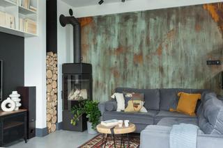 95-metrowa szeregówka w stylu soft loft