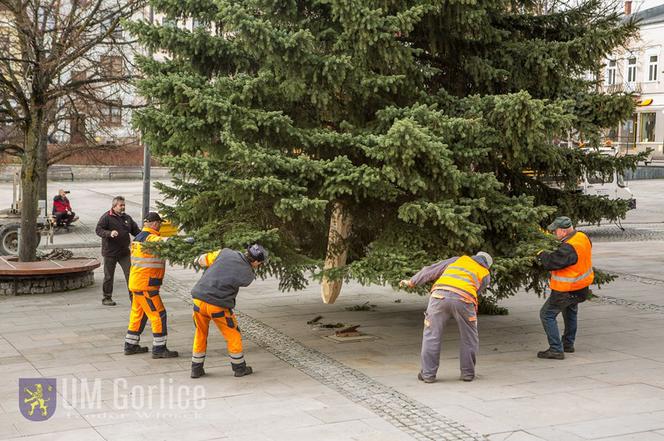 Gorlice: Na rynku już stoi choinka. Jest piękna. MUSISZ ją zobaczyć