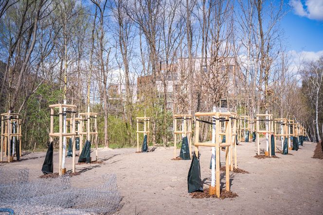 Park Żerański w Warszawie