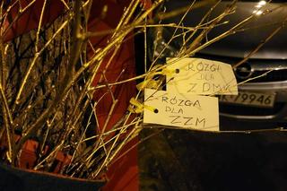 Zielone elfice uwolniły drzewo od betonu. „Jeśli to miał być żart, to arcysłaby”