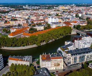 Kępa Mieszczańska we Wrocławiu - widok z drona