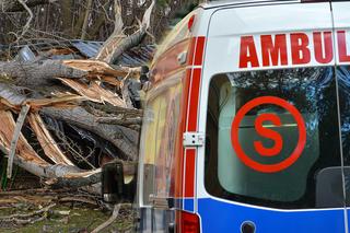 Wypadek podczas usuwania drzewa. 54-latek zmarł w szpitalu