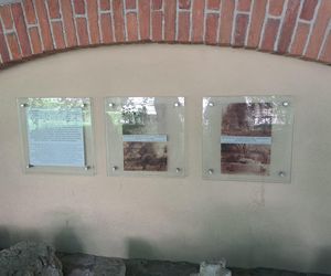 Ogród przy pałacu Czapskich w Krakowie