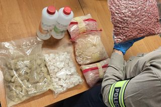 Akcja policji z Torunia, Rozbili grupę przestępczą