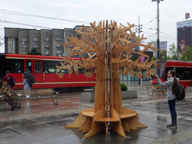Na katowickim Rynku stanęło Drzewo Klimatyczne! [ZDJĘCIA, AUDIO]
