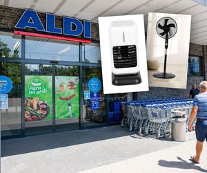 ALDI: Klimatory i wentylatory w super cenach!