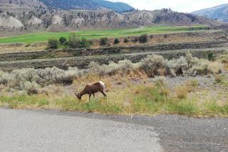 Podróżnicy ze świętokrzyskiego jeżdżą starem dookoła świata