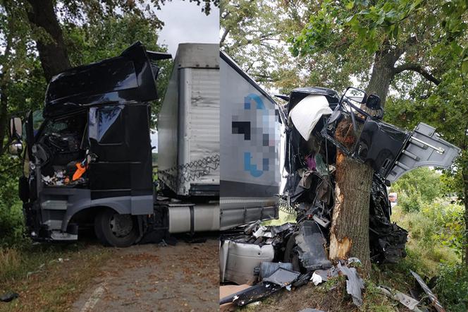 Uniknął wypadku i zawinął się na drzewie