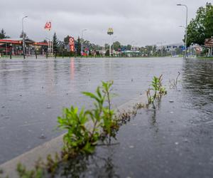 Jelenia Góra pod wodą. Powódź uderzyła w kolejnym mieście