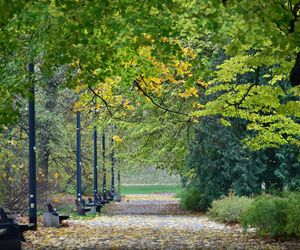 Park Praski