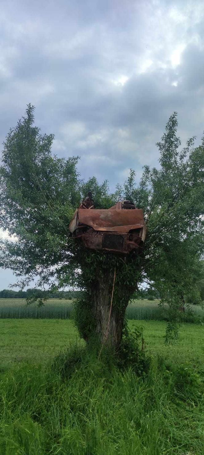 Spalony wrak samochodu zawisł na drzewie. Niecodzienna interwencja w Radostowie