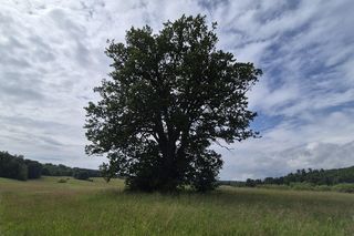 Odwiedziłam „mazurskie Stonehenge”. Jedna rzecz wprawiła mnie w osłupienie